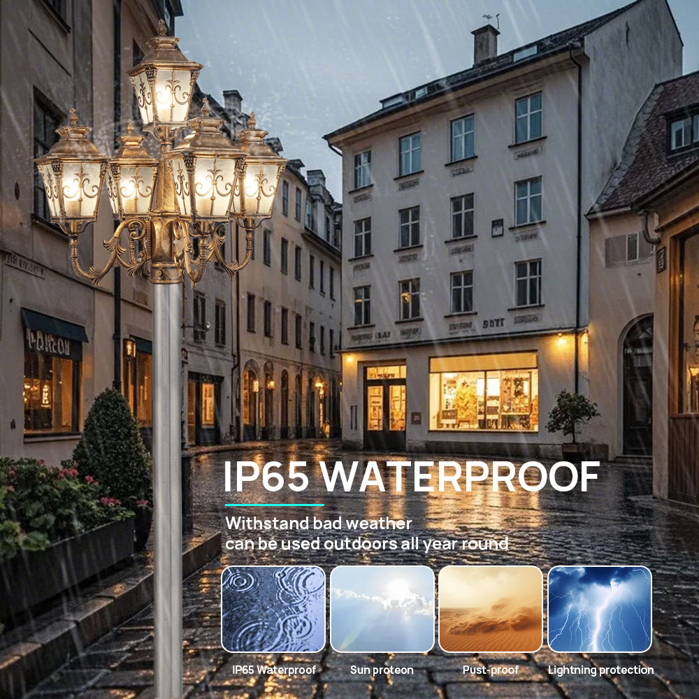 Passen Sie die 5-Kopf-Klassike – Outdoor Lighting Poles Bewertung und Preis